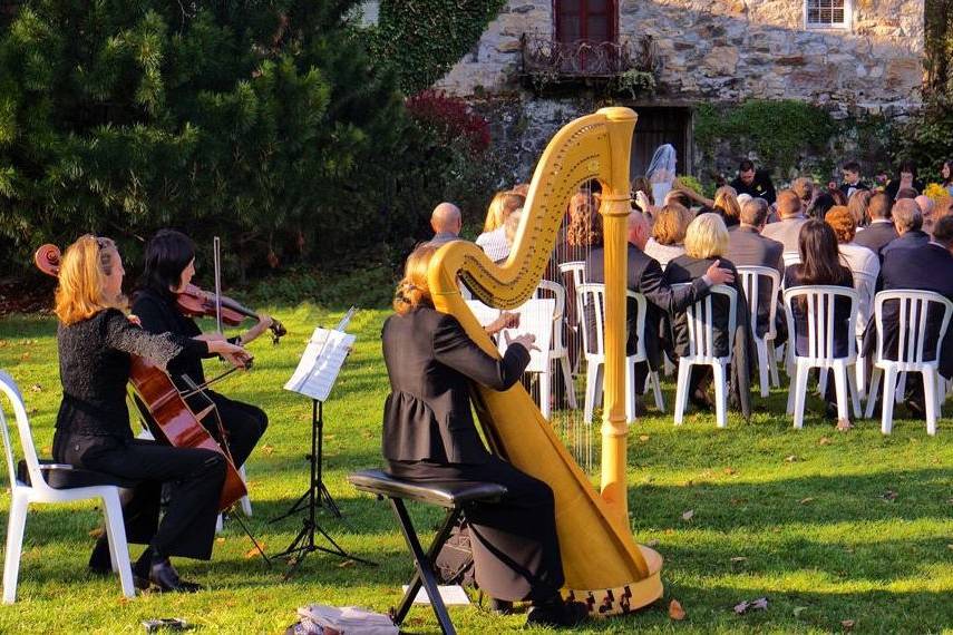 Harp trio at Crossed Keys