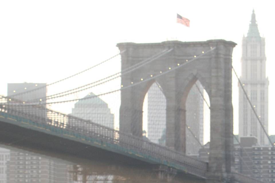 Under the Brooklyn Bridge