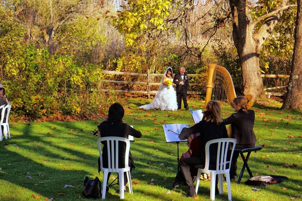 Harp trio at Crossed Keys