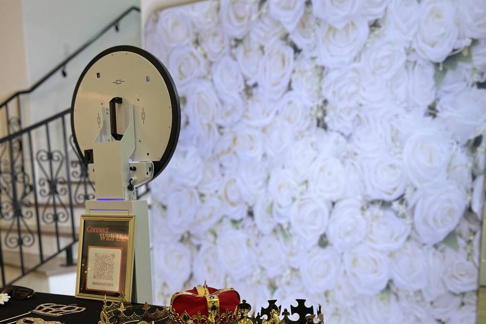 Roses in white backdrop