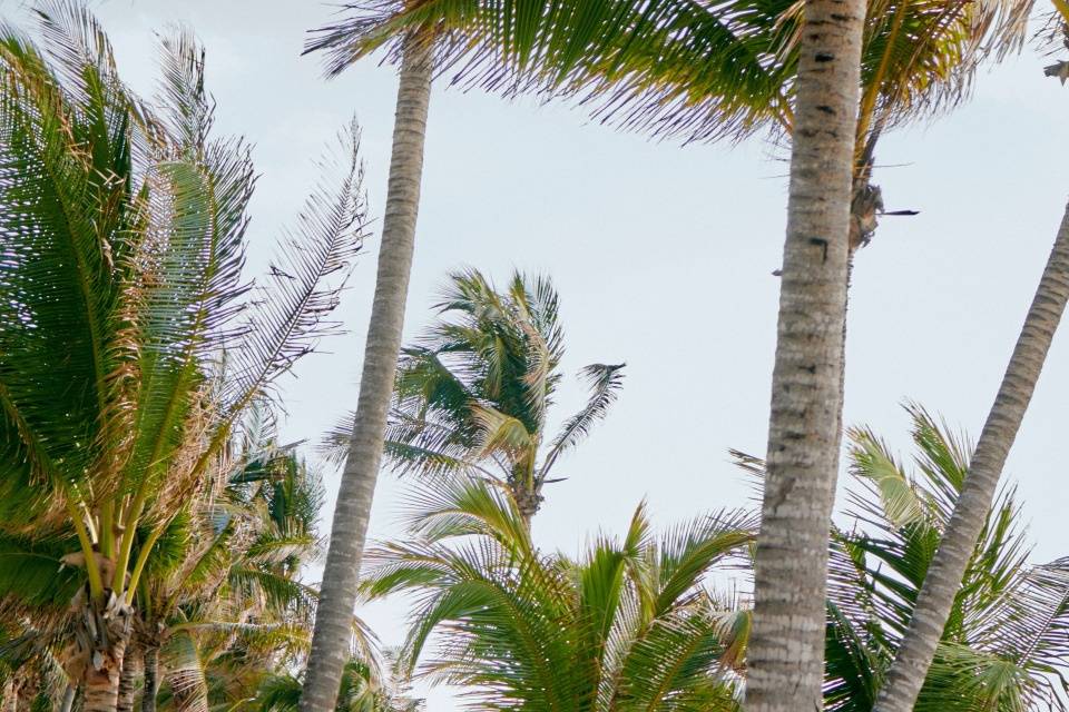 Akumal Bay