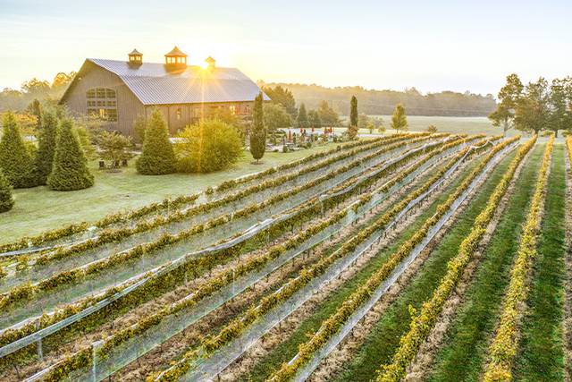 Southwest Mountains Vineyards