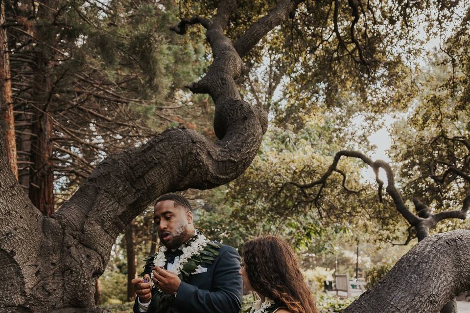 O + V Wedding