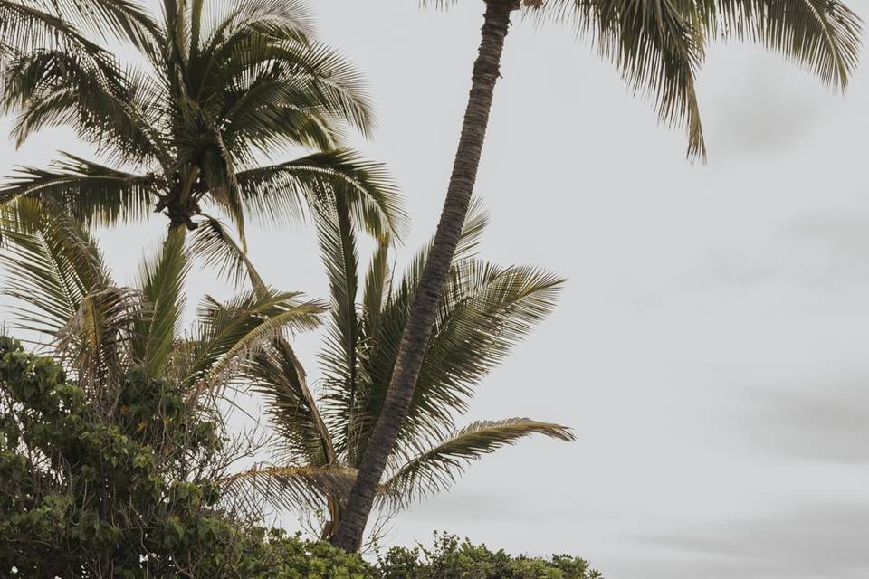 J + R Hawaii Elopement