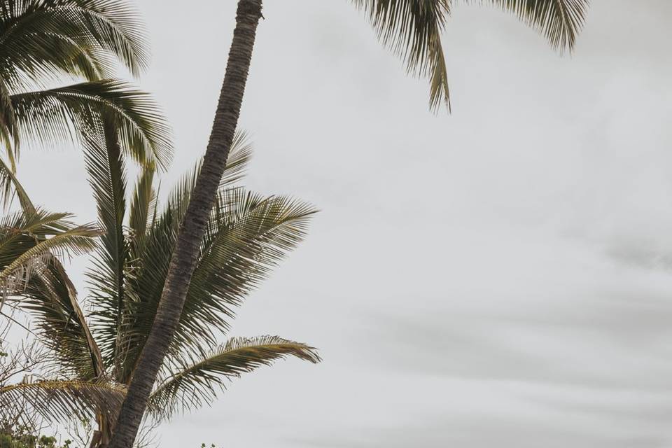 J + R Hawaii Elopement