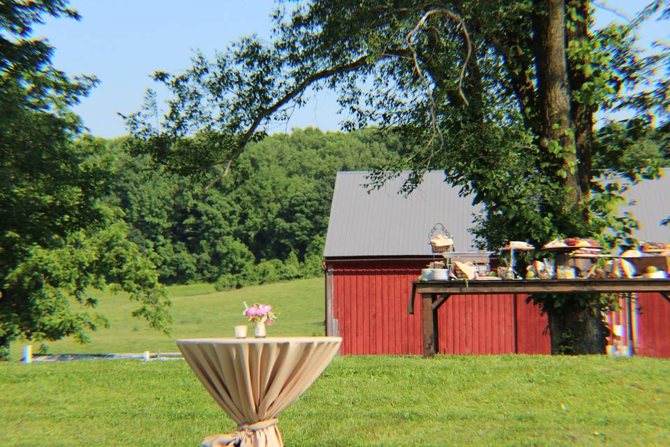 Cocktail table overlooking the barn