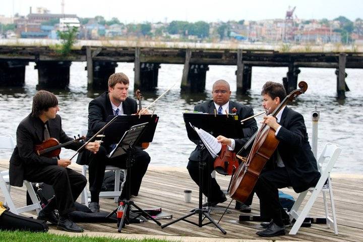 String Quartet