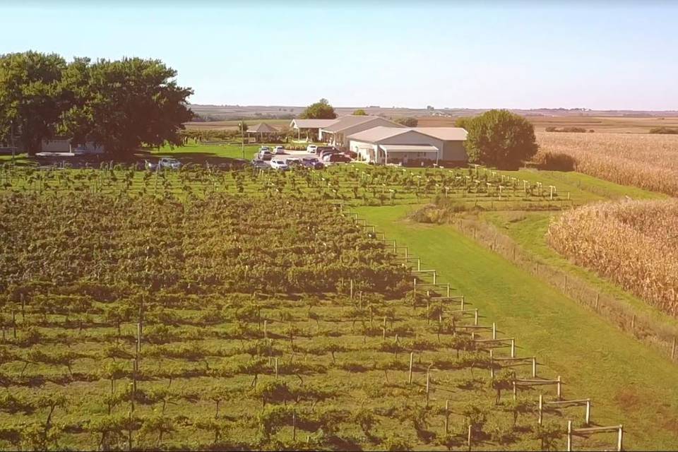 Prairie Crossing Vineyard and Winery