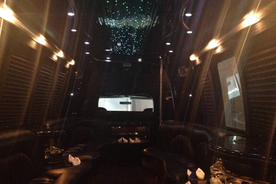 18 Passenger Party Bus - Interior 2