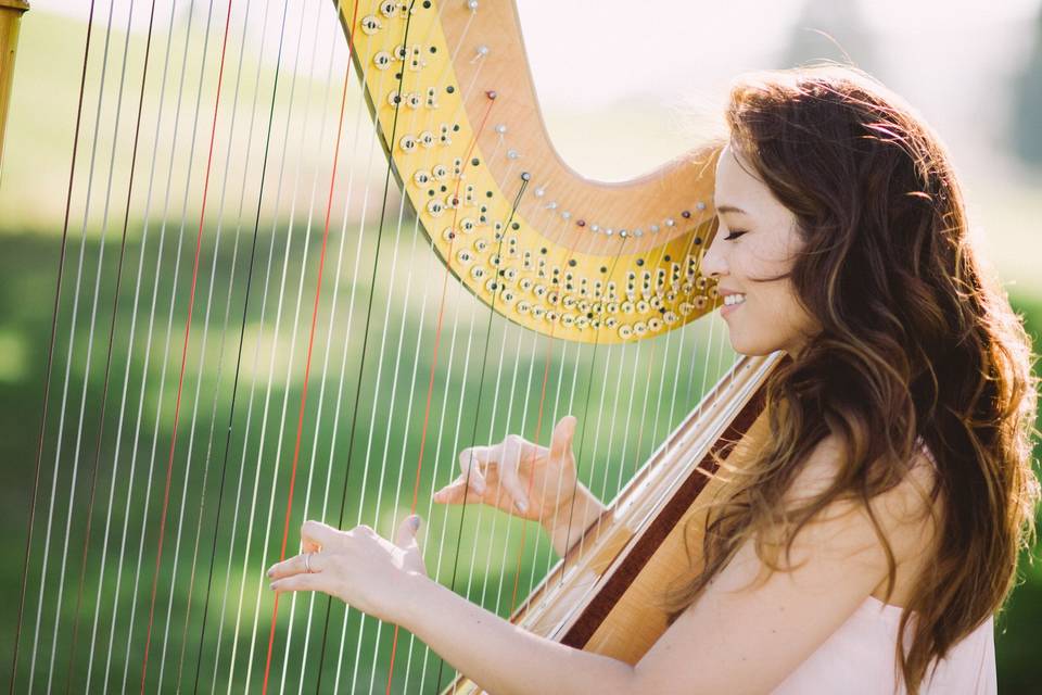 LA Harp - Jane Ferruzzo