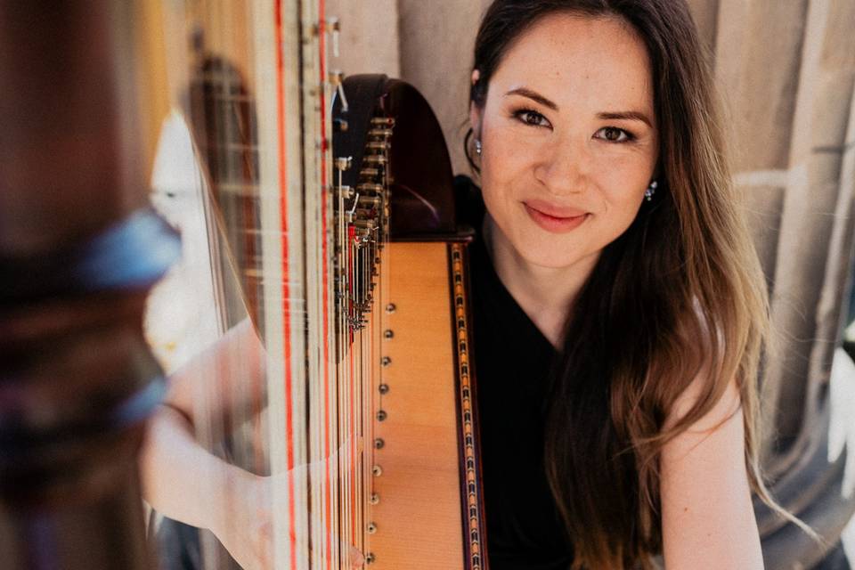 LA Harp - Jane Ferruzzo