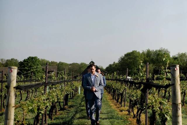 Groomsmen In the Vines