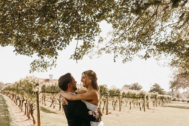 Vineyard