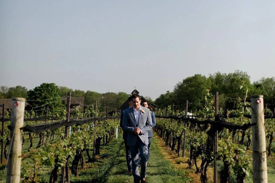 Groomsmen In the Vines