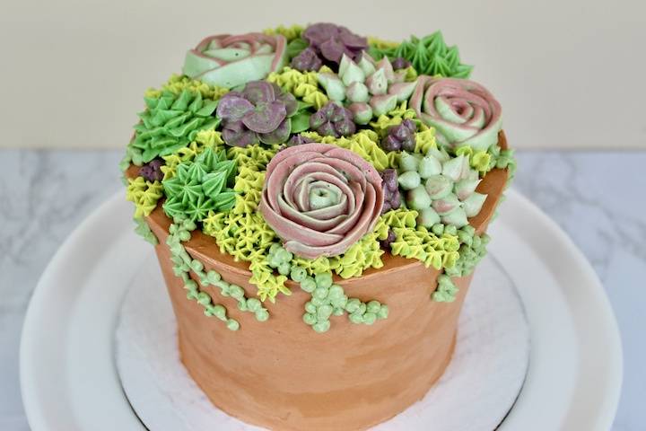 Succulent Cake