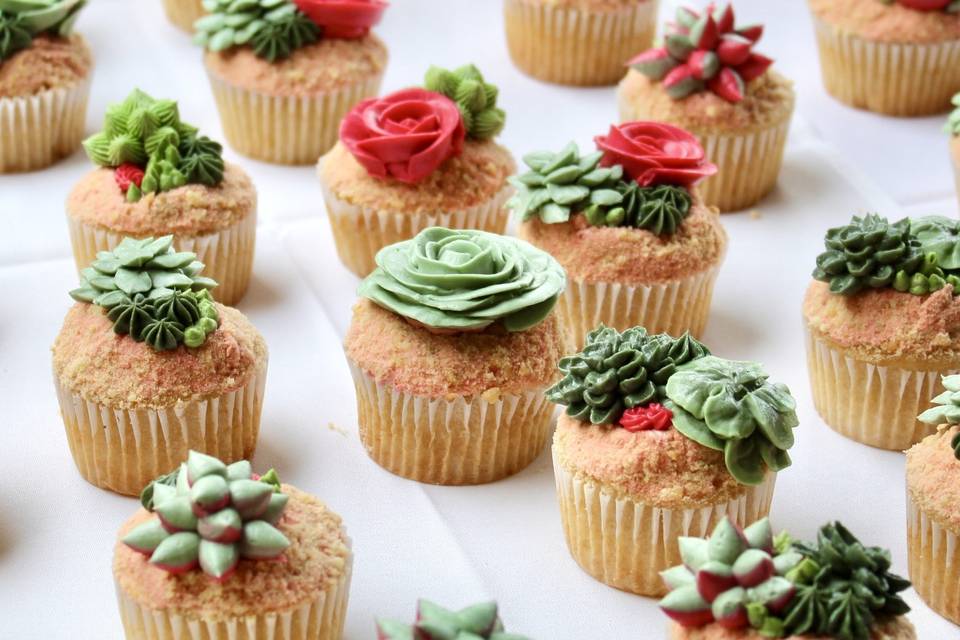 Succulent Cupcakes