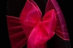 See UniqueEventsAndDecor.com for all your chair rental and linen rental needs.  We service PA, NJ and DE.We transform ordinary events into spectacular and affordable events.