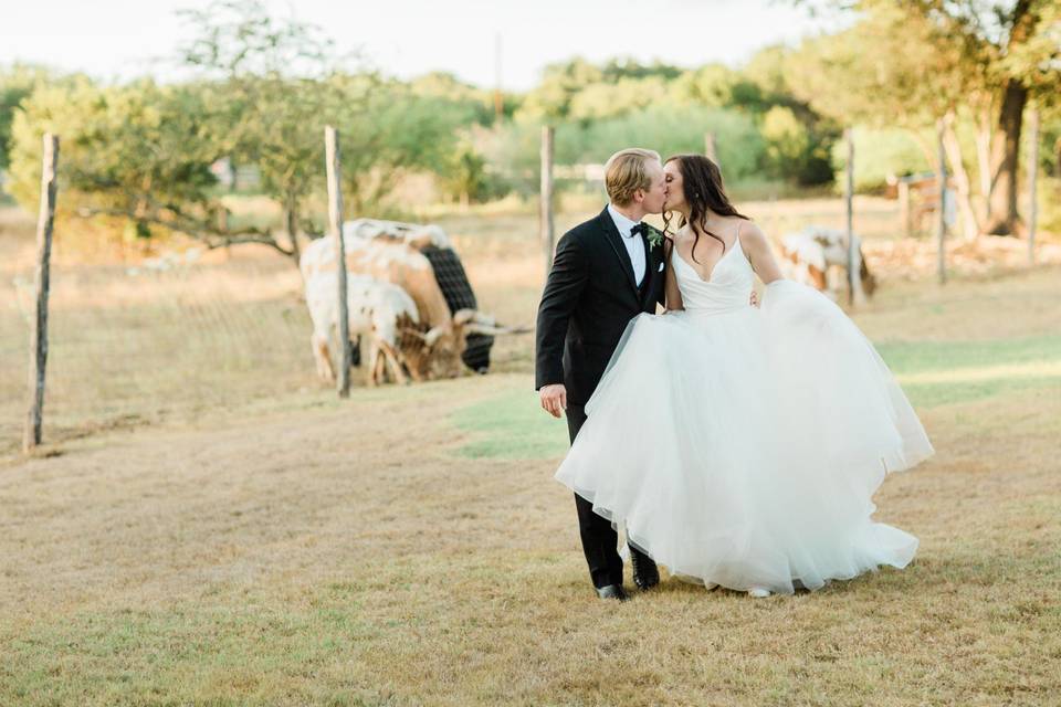 Bride & groom with longhorns