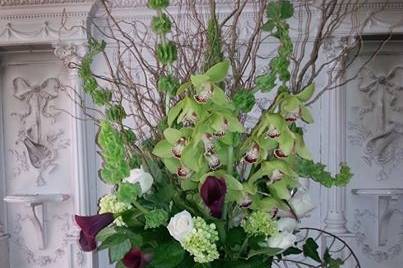 Fern centerpiece