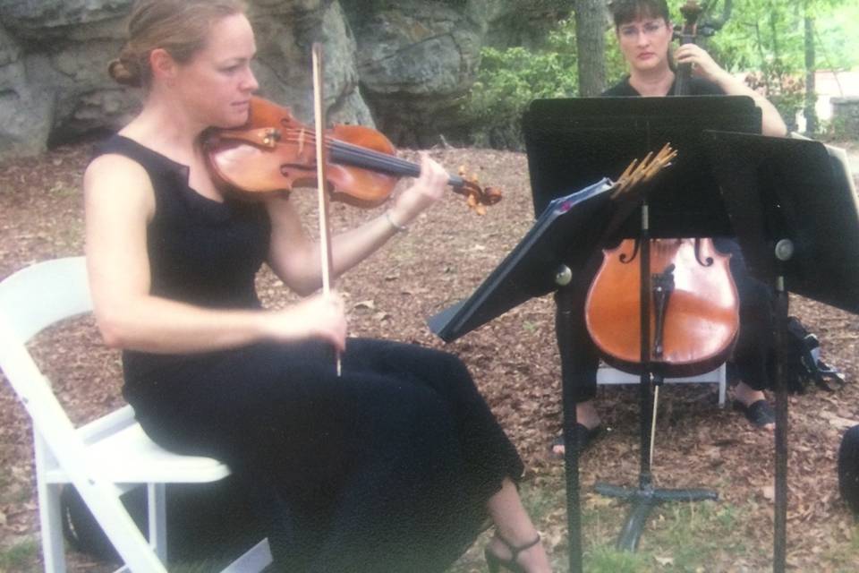 Tempo Primo Strings