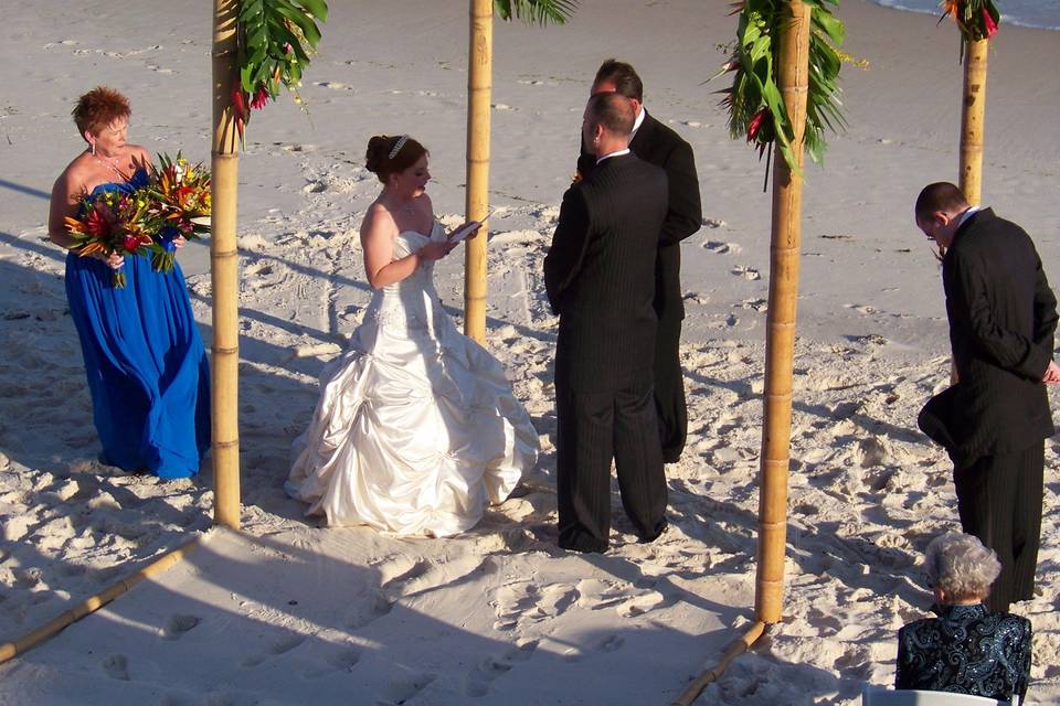 Outdoor wedding ceremony area