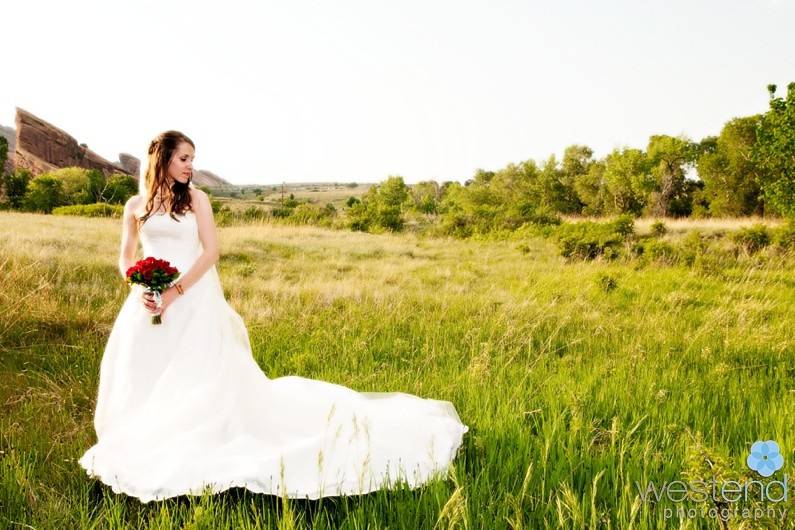 In a golden field