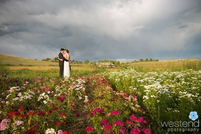 In a beautiful field