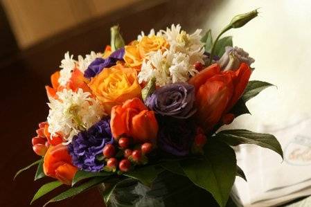 Muscari Fine Flowers & Blooms