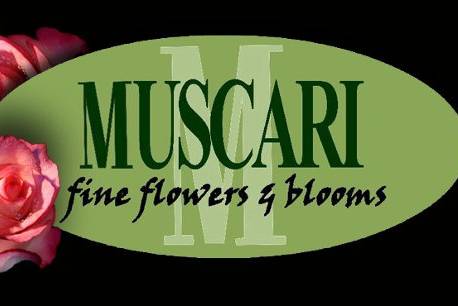 Muscari Fine Flowers & Blooms