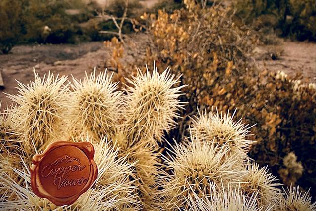 Copper Vows Desert