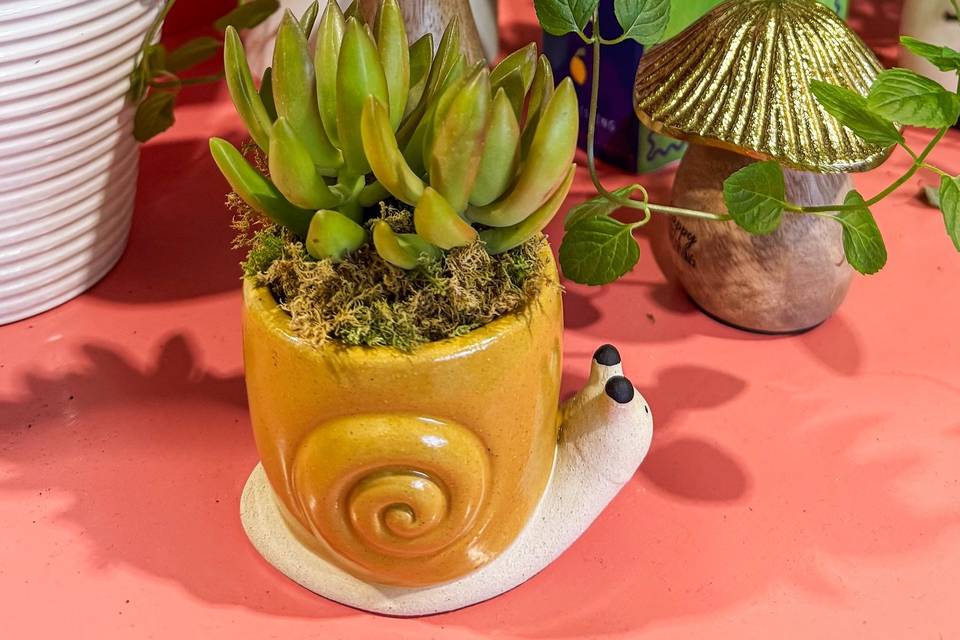 Pecan Hill Florist & Gifts