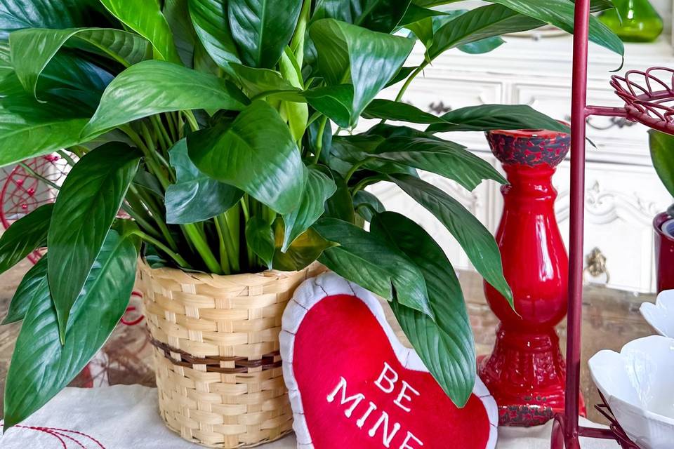 Pecan Hill Florist & Gifts