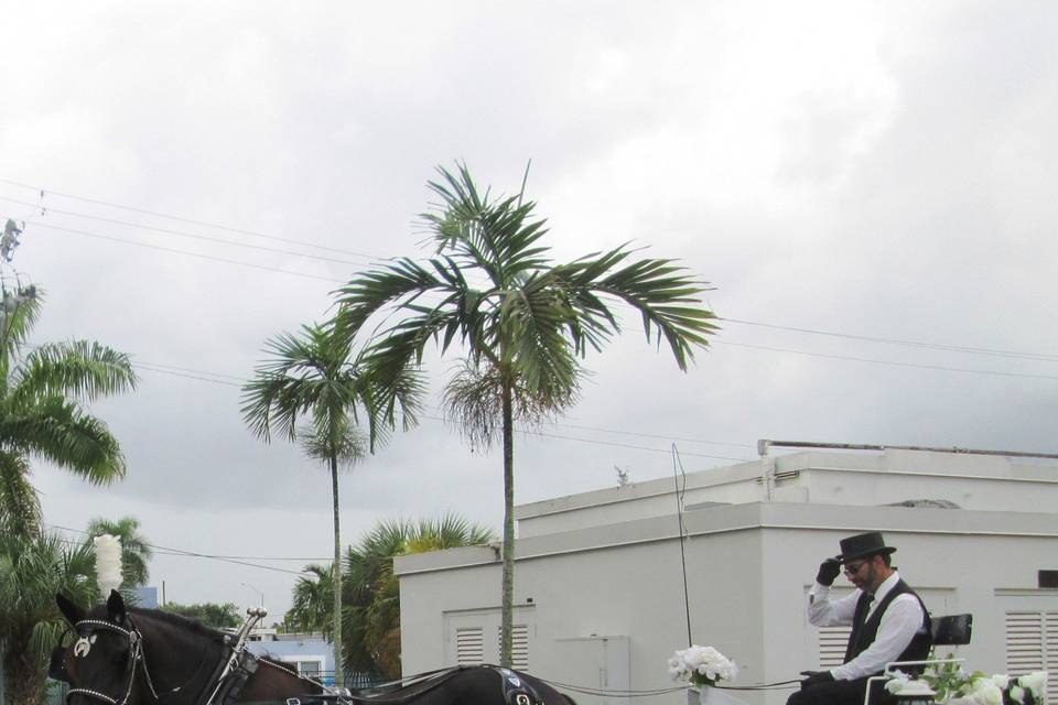Horse & Carriage Rides & Events, Inc.
561-791-2920