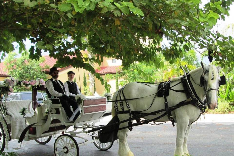 Horse and Carriage Rides and Events