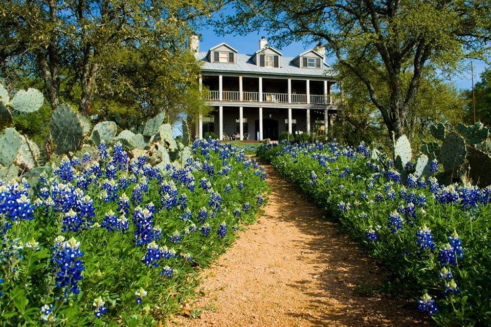 Road lined with flowers