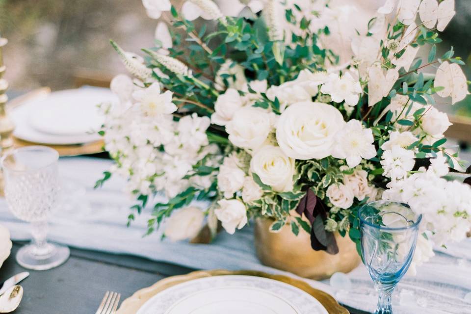 Flowers by Shelby Glynn