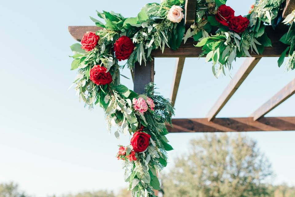 Flowers by Shelby Glynn