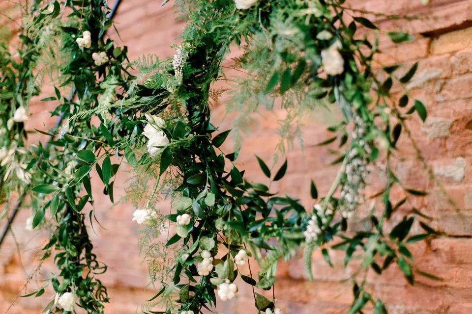 Flowers by Shelby Glynn