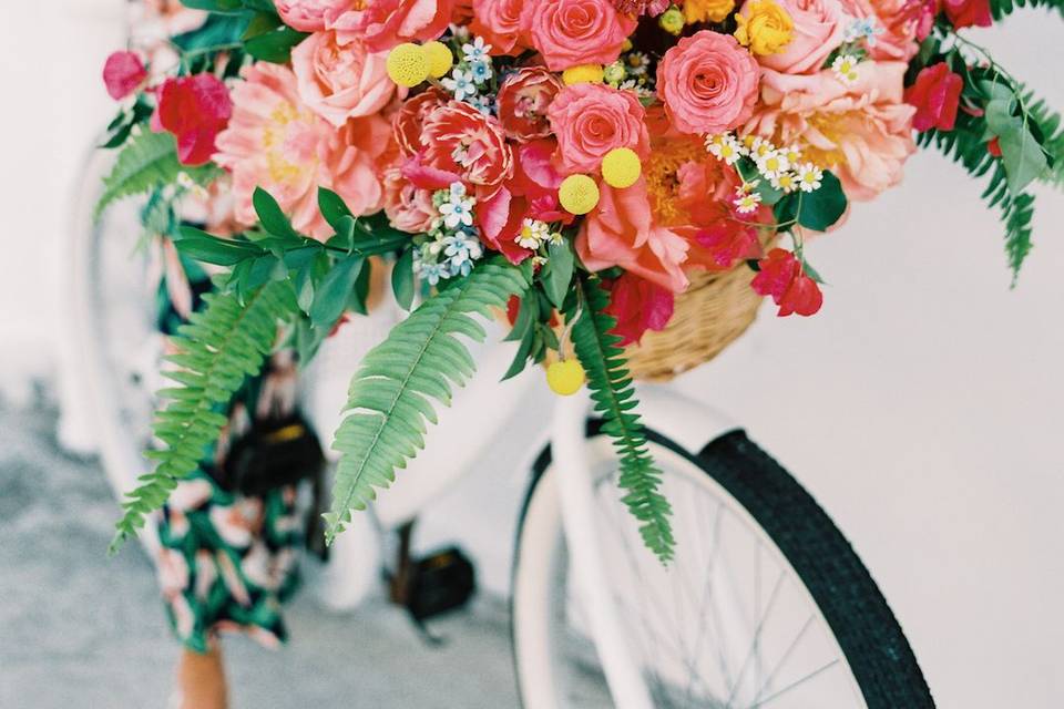 Flowers by Shelby Glynn