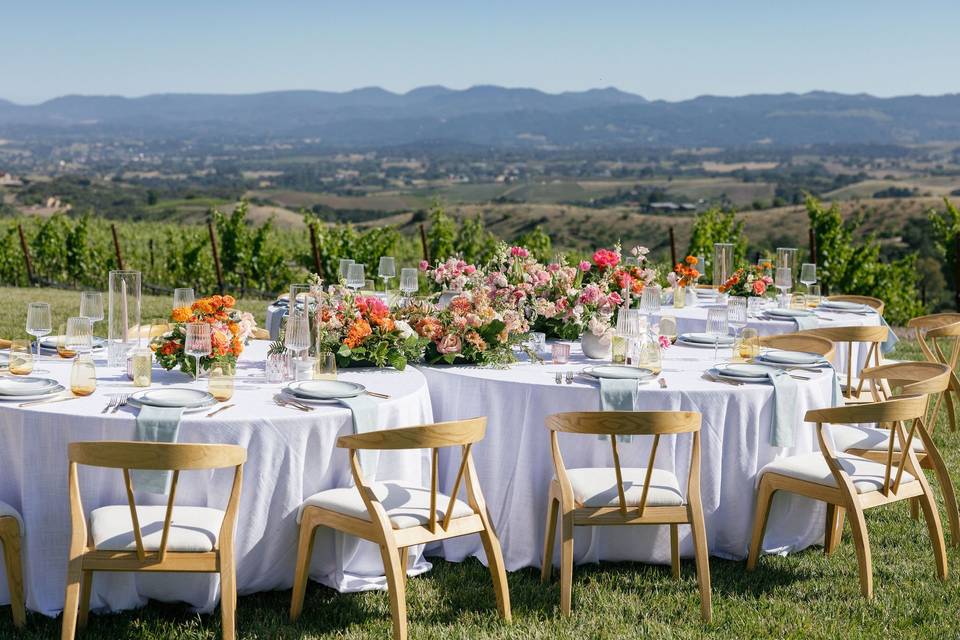 Vineyard Reception