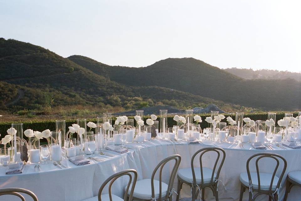 Mountain View Reception