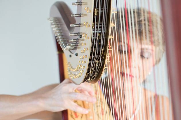 The harpist