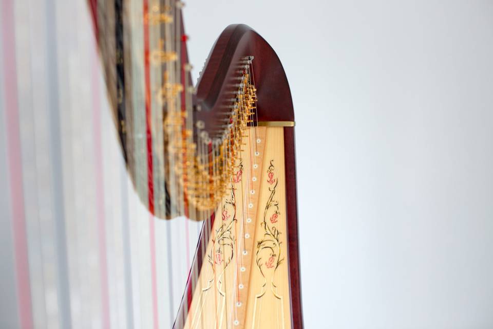 The harp