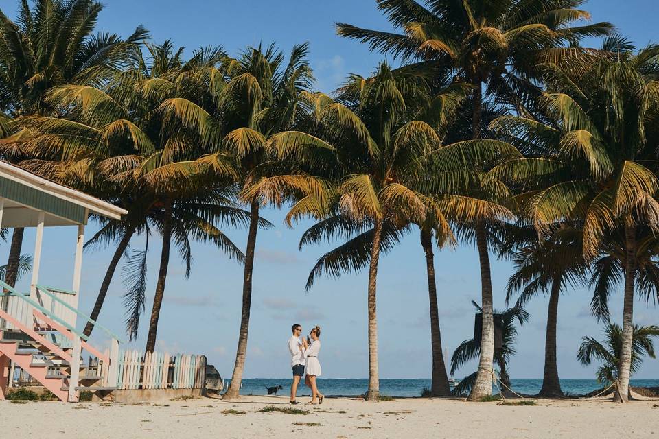 Proposal on the beach