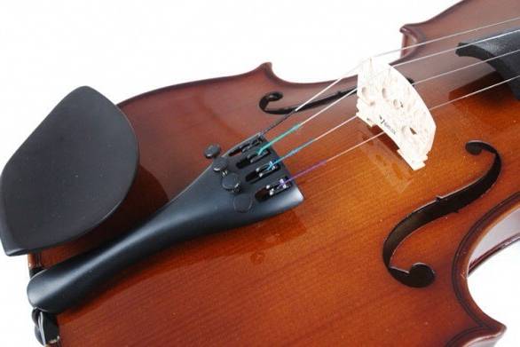 Violin