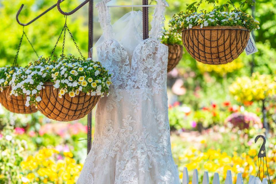 Flagstaff Wedding Photographer