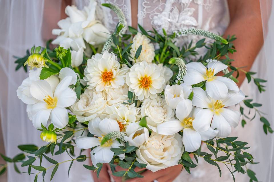Phoenix Wedding Photographer