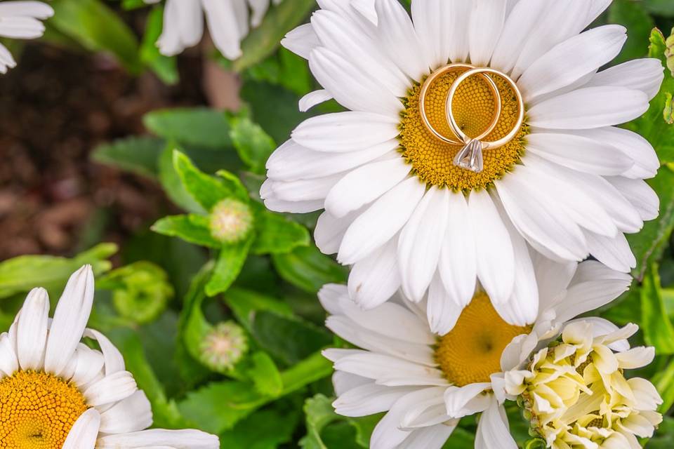 Arizona Wedding Photographer
