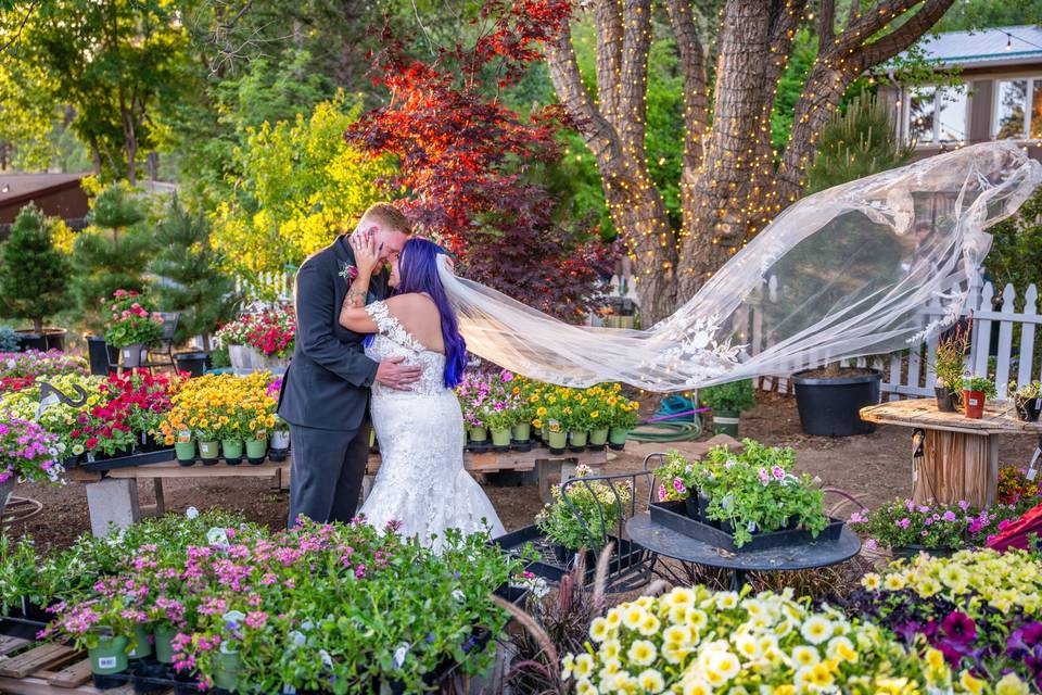 Flagstaff Wedding Photographer