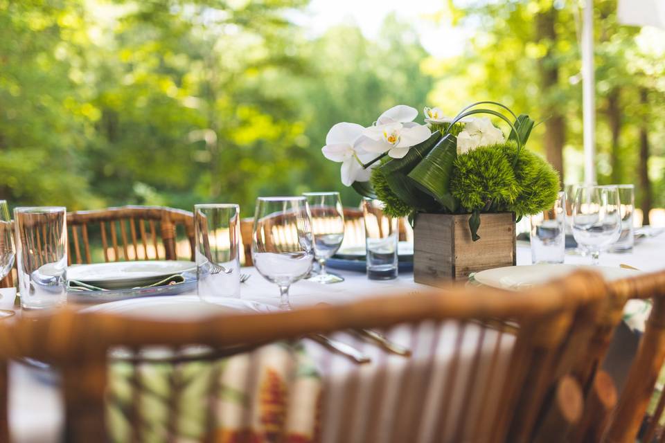 Tropical Guest Table